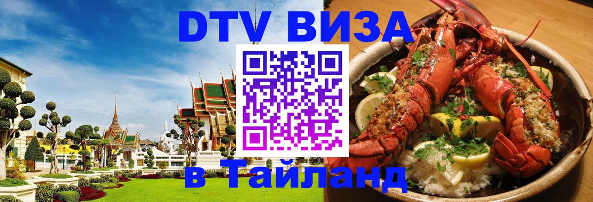 Оформление DTV визы под ключ: стоимость и тарифы, только загранпаспорт - 20.11.2025 